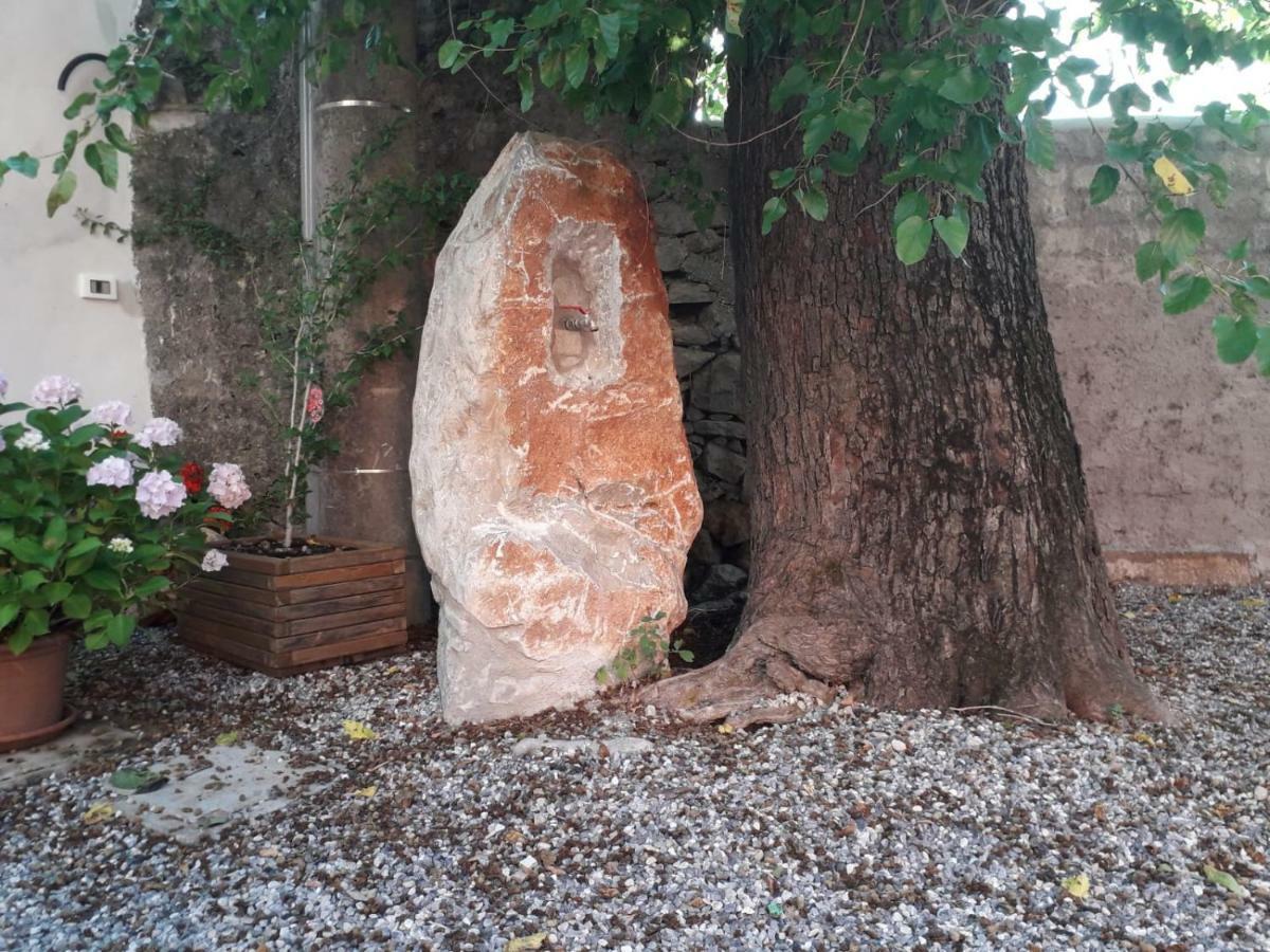 Kralj